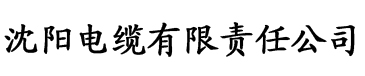 a级毛片免费电缆厂logo